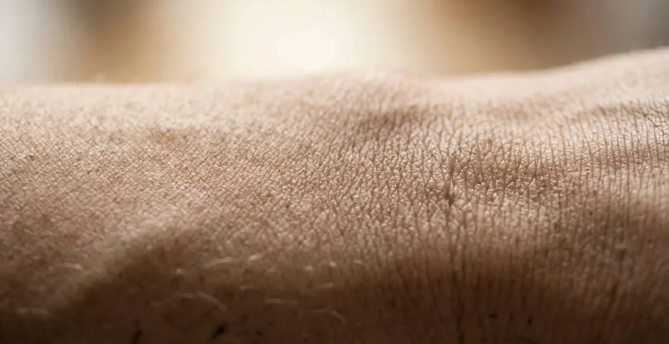 Detalle macro de textura de piel mostrando los efectos del estrés y envejecimiento